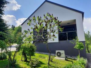 Aed väljaspool majutusasutust House Under The Maple Tree