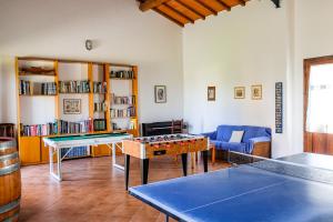a living room with a ping pong table and a table at Agriturismo biologico Bulichella in Suvereto