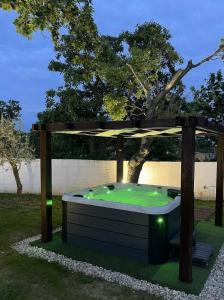 Ogród w obiekcie Villa Casa di Nikola ZadarVillas