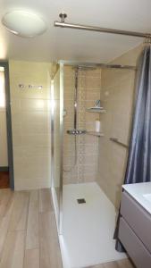 a shower with a glass door in a bathroom at Chambre d'hôtes proche Chenonceau in Chisseaux