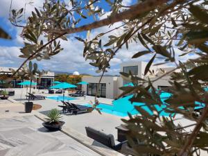 Elle offre une vue sur la piscine bordée de chaises et de parasols. dans l'établissement D'VINO Valle De Guadalupe, à Ensenada