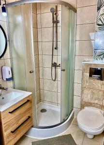 a bathroom with a shower with a toilet and a sink at Old Tree Home & Restaurant in Oświęcim