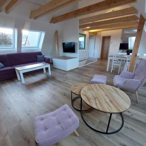 TV a/nebo společenská místnost v ubytování Apartmány Phlora + 34 fotografií