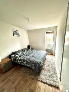 een slaapkamer met een bed met een tapijt en een raam bij Grand appartement, calme, proche centre-ville in Pau