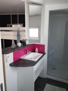 ein Badezimmer mit einem weißen Waschbecken und einem Spiegel in der Unterkunft Gemütliches Mobilheim am See WA105 in Wackersdorf