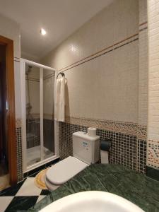 y baño con aseo y ducha. en Casa las Batallas, en Toro