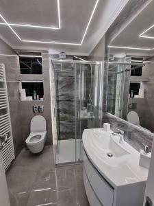 ein Bad mit einem WC, einem Waschbecken und einer Dusche in der Unterkunft Apartman Nika in Sesvete