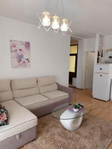 sala de estar con sofá y mesa en Apartment Jasenka en Brodarica