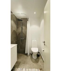 a bathroom with a toilet and a shower at ApartmentInCopenhagen Apartment 1539 in Copenhagen +13 photos