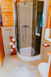 baño con ducha y puerta de cristal en Domek w lesie, nocleg na Lubelszczyźnie, en Sosnówka