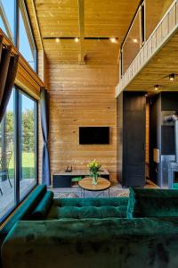 奧爾什蒂內克的住宿－Sielski Chill Mazury，客厅配有绿色沙发和电视