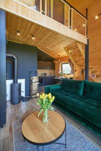 オルシュティネクにあるSielski Chill Mazuryのリビングルーム(緑のソファ、テーブル付)