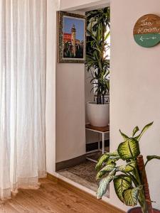 a hallway with a table and a plant and a mirror at Indarsena b&b in Portoferraio
