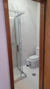 łazienka z prysznicem i toaletą w obiekcie Studio Oporto (Gaia) w mieście Vila Nova de Gaia