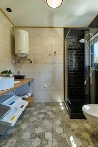奧爾什蒂內克的住宿－Sielski Chill Mazury，带淋浴、盥洗盆和卫生间的浴室