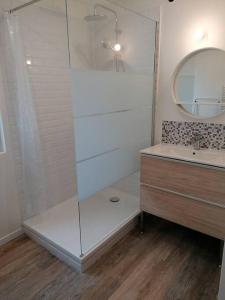 ein Bad mit einer Dusche, einem Waschbecken und einem Spiegel in der Unterkunft Maison centre bourg, 6 pers, 5 minutes de la plage in Plomeur