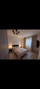 a bedroom with a large bed and a window at Happy Rental Apartments 1 in Craiova