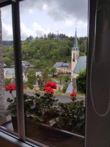 una ventana con vistas a la ciudad y flores rojas en Apartmán Albreit en Jáchymov