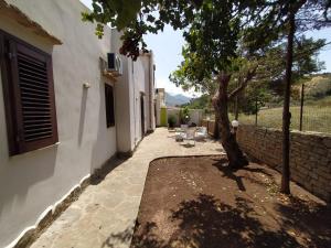 a courtyard of a house with a tree and chairs at SanVitoTour- Residence Il Baglio in San Vito lo Capo