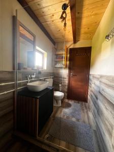 a bathroom with a sink and a toilet at Etno Idila D&D in Žabljak