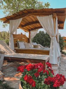 Zahrada ubytování Casa Rustic 2