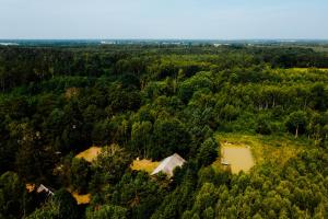 an aerial view of a forest with a house and a lake at Domek w lesie, nocleg na Lubelszczyźnie in Sosnówka