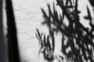 a shadow of a plant on a wall at Edem Luxury Apartments in Nea Peramos