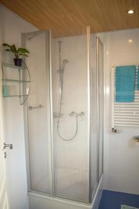 een douche met een glazen deur in de badkamer bij das Fischerhus in Bensersiel