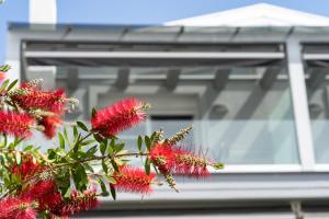 a tree with red flowers in front of a building at Edem Luxury Apartments in Nea Peramos