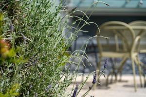 a group of chairs and a hedge with purple flowers at Edem Luxury Apartments in Nea Peramos