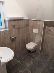 a bathroom with a toilet and a glass shower at Apartmá U rybníčku in Dolní Dunajovice