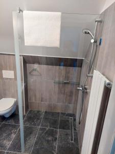 Koupelna v ubytování Apartmá U rybníčku