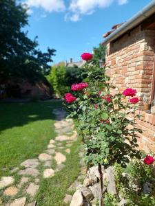 Zahrada ubytování Apartmá U rybníčku