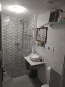 Koupelna v ubytování Apartmá U rybníčku