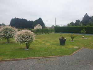 a yard with two flowering trees in the grass at Maison spacieuse au calme à 5 min de la ville in Aigné