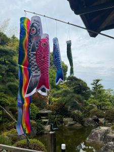 un grupo de calcetines coloridos colgando de una línea de ropa en みやうら御殿, en Imabari