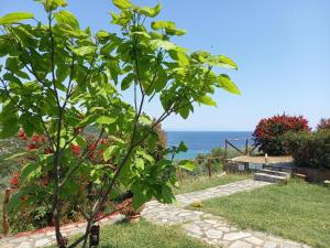 ein Baum in einem Garten mit Meer im Hintergrund in der Unterkunft Vrachos kai Elia in Pyrgadikia