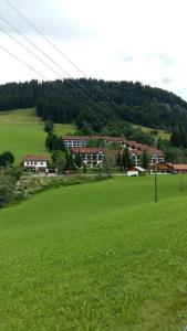 a field of green grass with houses in the background at Schnitzer-Stüble in Missen-Wilhams