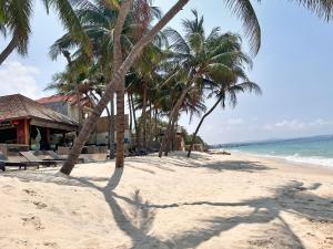- une plage avec des palmiers, un bâtiment et l'océan dans l'établissement Sunsea Resort, à Mui Ne