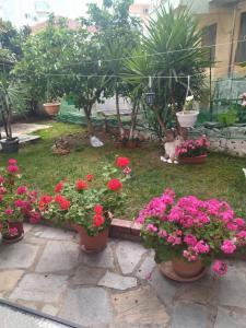 Zahrada ubytování Sofis Garden
