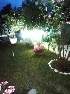 Zahrada ubytování Sofis Garden