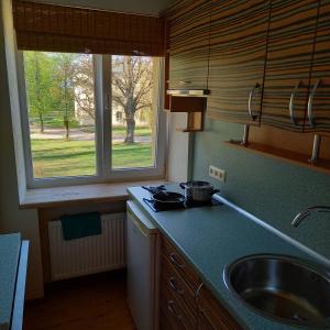a kitchen with a sink and a counter with a window at Ozolu gatve 2- no Cēsīm 7 km in Jāņmuiža