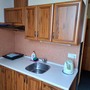 eine Küchentheke mit einer Spüle und Holzschränken in der Unterkunft Penzion Podkůvka in Kořenov