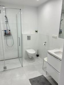 Et badeværelse på Apartament BB Alpha Rogowo Pearl