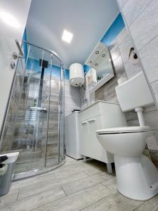 a bathroom with a shower and a toilet at Luxury Apartman ASIA Rijeka in Rijeka