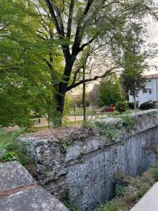 eine Steinmauer mit einem Baum in einem Park in der Unterkunft La Serra Olivetti in Ivrea