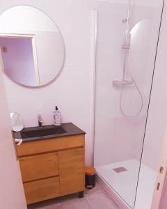 a bathroom with a sink and a mirror and a shower at Parc paradis in Gréoux-les-Bains
