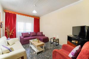 a living room with purple couches and a tv at Olivendra Thassos in Prinos
