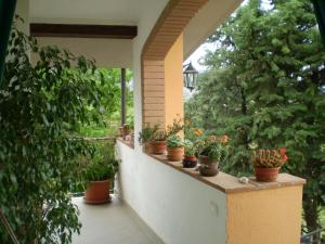 a porch with potted plants on a balcony at Agriturismo Ternova in Alberese