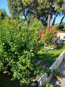 Fotografie z fotogalerie ubytování Apartment Margerita v destinaci Asgourou + 30 fotografií